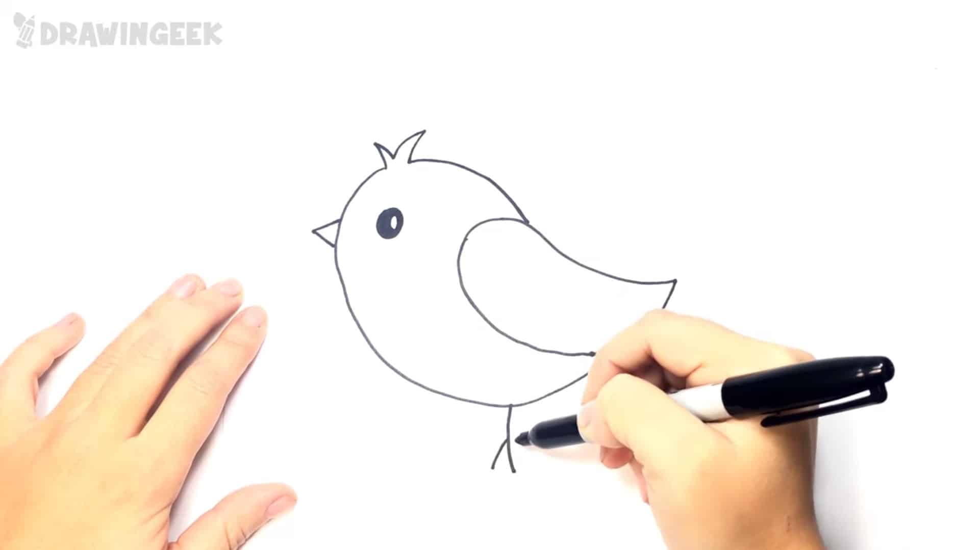 איך לצייר ציפור